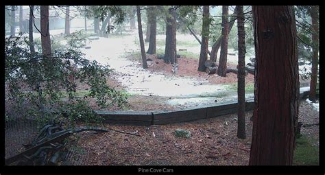 pine cove webcam|Idyllwild Web Cams – Idyllwild – Pine Cove California。